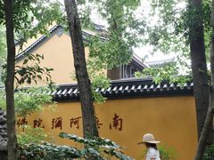 -灵谷景区