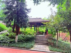 -龙头寺公园