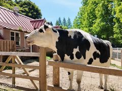 -神户市立六甲山牧场