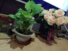 -好享派·团建轰趴馆(旗舰店)