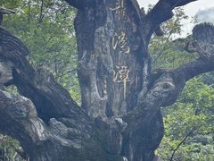-龙湾潭国家森林公园