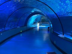 -泉城欧乐堡海洋极地世界