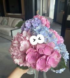 -臻康乃馨月子中心(集美店)