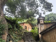-杨家堂村