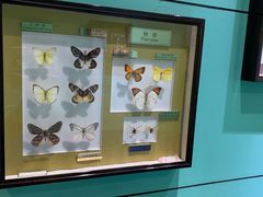 -上海昆虫博物馆