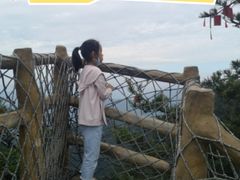 -洛阳白云山景区