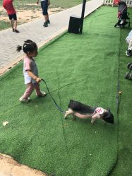 -上美四季动物农场