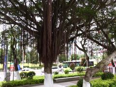 -汕头市小公园