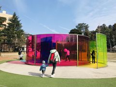 -金泽21世纪美术馆