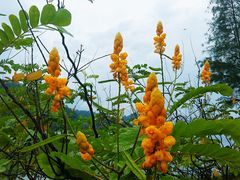 -水濂山水库景点停车场
