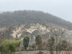 -金钉子远古世界景区