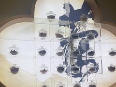-长风拨筋养身(蟠龙天地店)