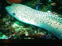 -星美国际影商城(虞景文华店)