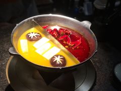 花胶鸡汤锅底-湊湊火锅·茶憩(新中关购物中心店)