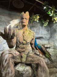 -Zoolung Zoolung动物主题公园(海信广场店)