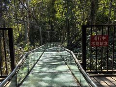 -七仙岭温泉国家森林公园