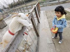 -前小桔亲子创意农场·草莓采摘·露营烧烤