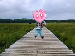 -塞罕坝国家级自然保护区