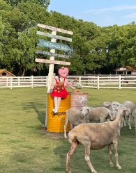 -七色田儿童摄影(静安店)