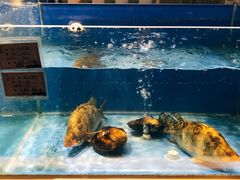 -山芋腔苏北菜(盐城滨海店)