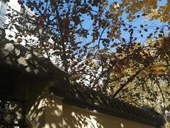 -长白岛森林公园