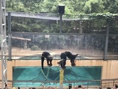 -清迈夜间动物园