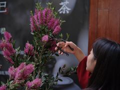 -扫雪煮茶(西村店)