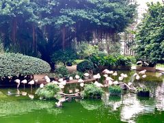 -九龙公园