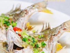 -有腥气私房菜·寻味顺德