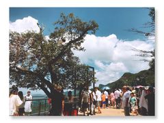 -梦幻奥陶纪景区