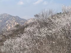 -龙泉峪长城