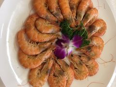 盐水基尾虾-红高粱大酒店(宁山东路店)