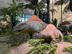 -湖南省地质博物馆