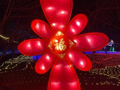 -南宫五洲植物乐园