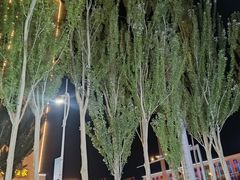 -老字号老马炕锅烤肉城