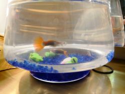 点击看大图 -盘子女人坊古装写真摄影(天津总店)