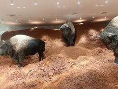 -深圳湾万象城(南山店)