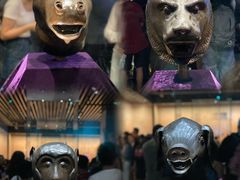 -广西壮族自治区博物馆