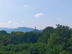 -北坞公园