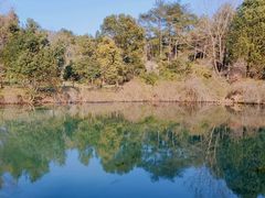 -溪口-滕头旅游景区