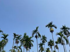 -三亚南山文化旅游区