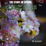 🌸京城赏花攻略|北土城地铁口，让你免费拥抱海棠花海🌷
