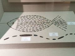 -巴音郭楞蒙古自治州博物馆