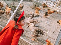 -小鱼草莓采摘园农家乐·小鱼餐厅