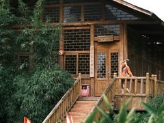 -姑婆山旅游区