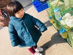 -秦美花卉(天朗·莱茵小城2期店)