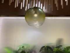 -一朵菌·野生菌探索家火锅(南亚店)