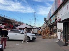 -中环花鸟鱼虫市场