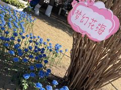 -金城公园