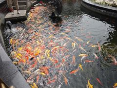 -上海东林寺(金山区)
